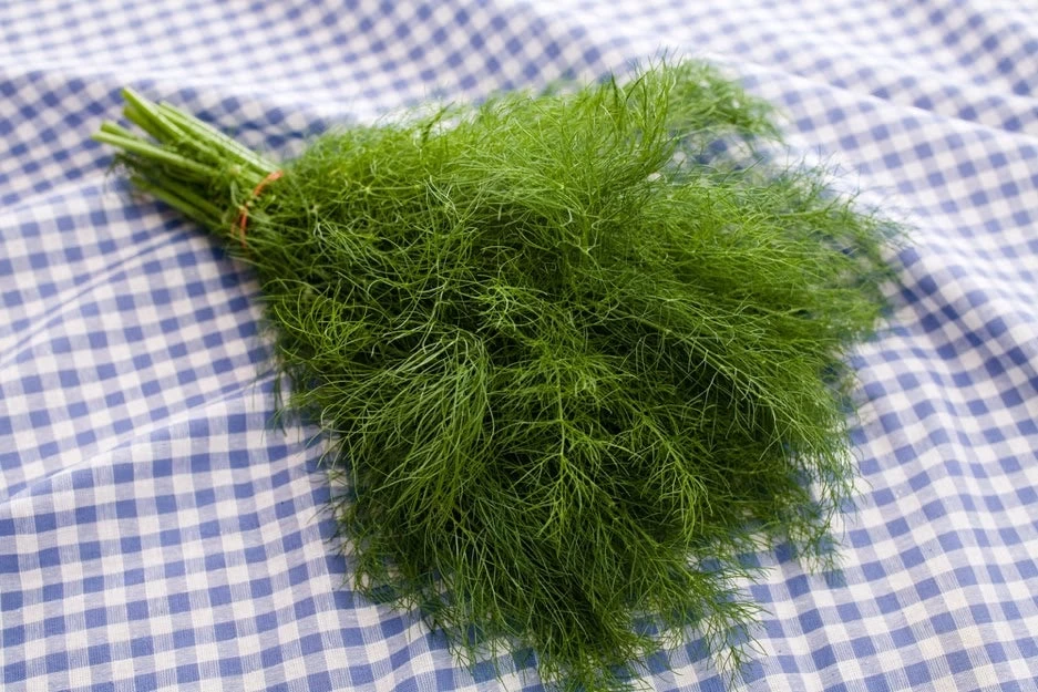 Αυτό το φυσικό φάρμακο μπορεί και νικά τη δυσπεψία!